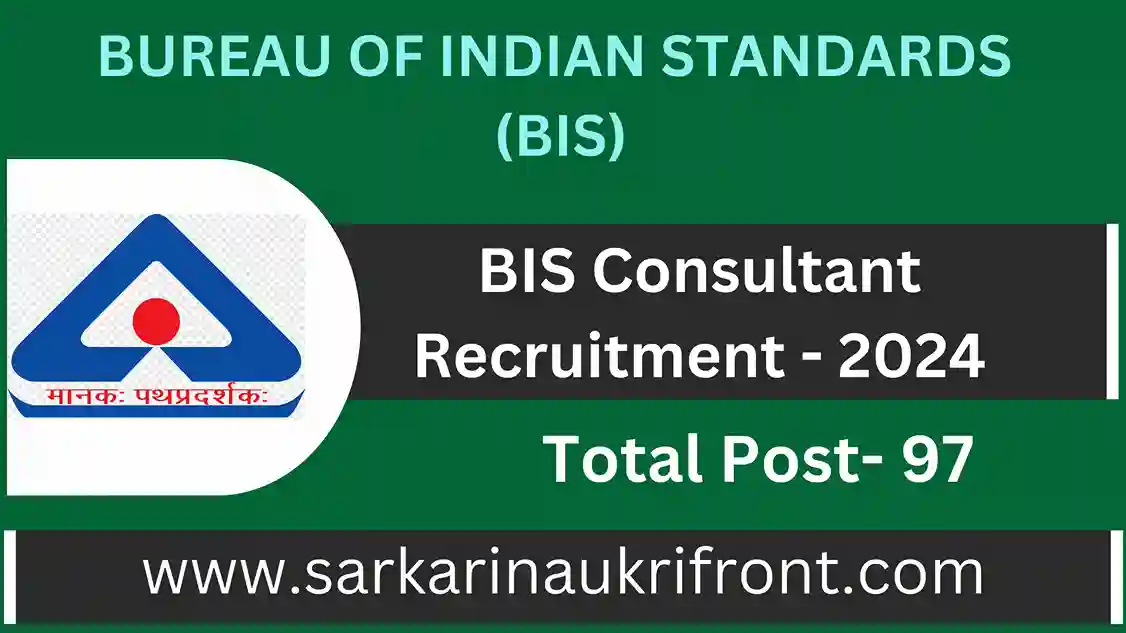 BIS Consultant Recruitment 2024