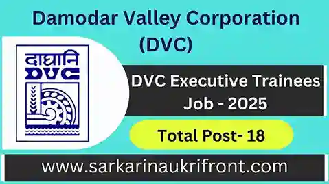 DVC Executive Trainee Job 2025