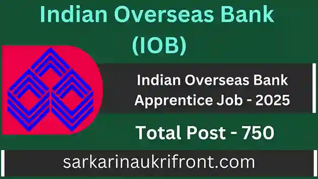 Indian Overseas Bank Apprentice Job 2025