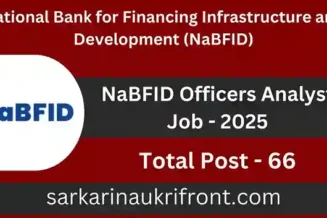 NaBFID Officers Analyst Job 2025
