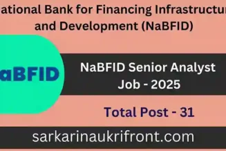 NaBFID Senior Analyst Job 2025