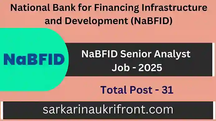 NaBFID Senior Analyst Job 2025