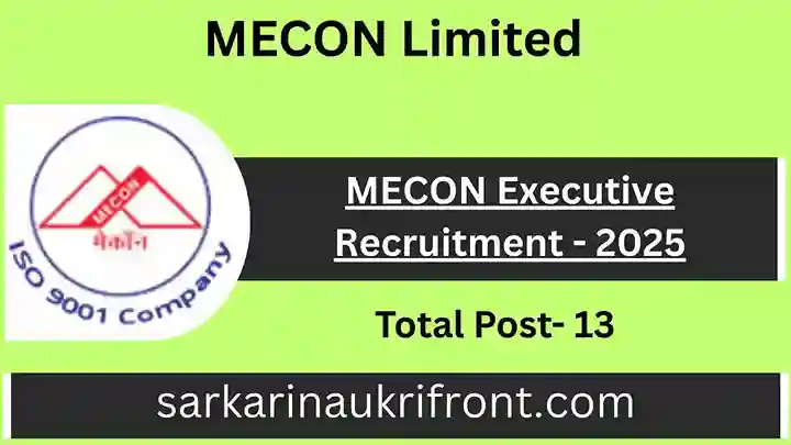 MECON Executive Recruitment 2025