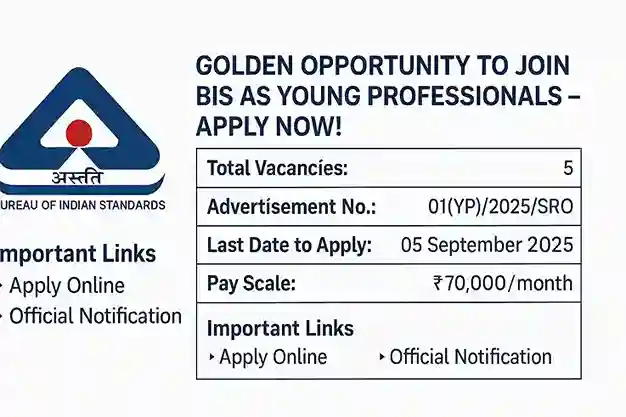 BIS Young Professionals Hiring 2025