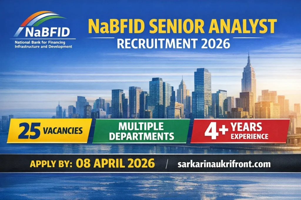 NaBFID Senior Analyst Recruitment 2026